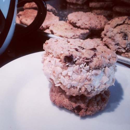 10643846_1469549266651864_487672601_n