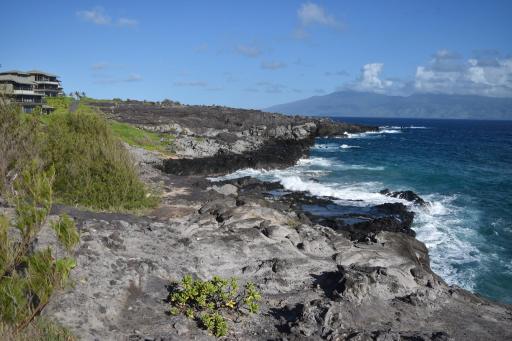 13603354_1238002369551707_7279075754398906608_o