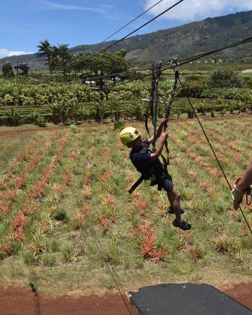 13613106_1237999529551991_3485676319623756062_o